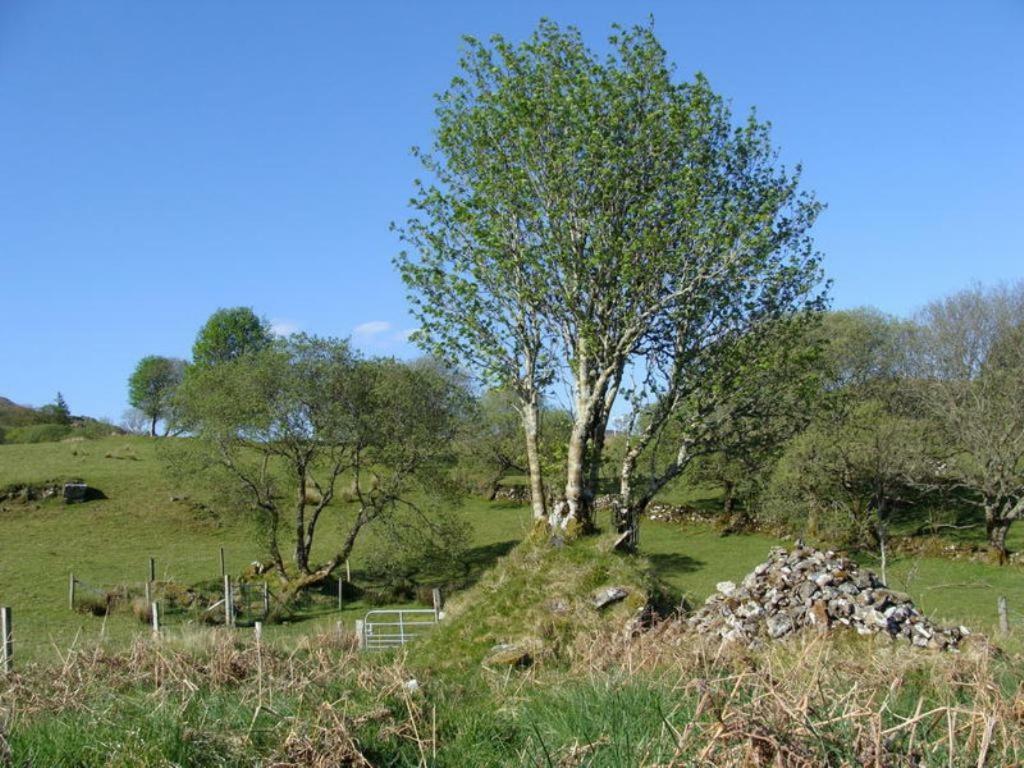 The Bluestack Centre Vandrehjem Donegal Town Eksteriør billede